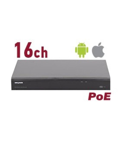 RK2216-P. Видеорегистратор IP 16-канальный. Beward в Арзамасе