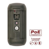 DS06AP-3L (Gray). Вызывная панель IP-домофона. Beward
