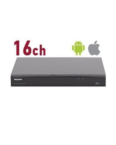 RK2216. Видеорегистратор IP 16-канальный. Beward в Арзамасе