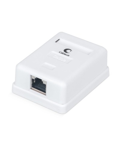 WS-8P8C-Cat.5e-SH-1 (7485c): Розетка RJ-45 в Арзамасе