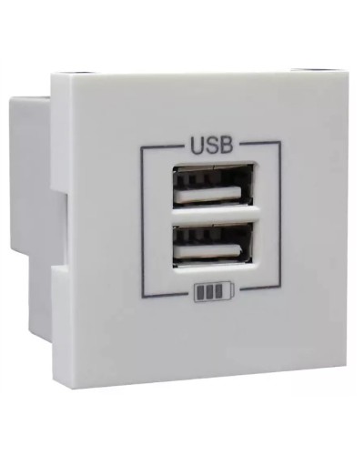 Розетка USB двойная, зарядная, белая (45439 SBR): Розетка USB двойная в Арзамасе