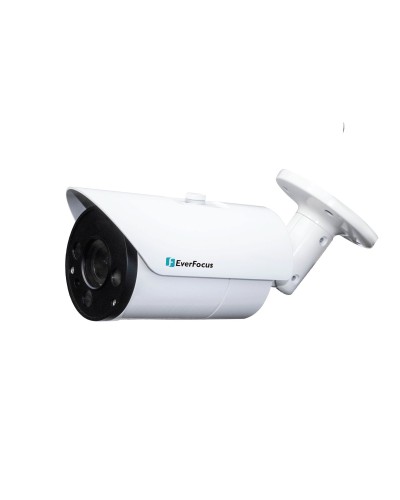 EZN-268V. Видеокамера IP купольная. EverFocus в Арзамасе
