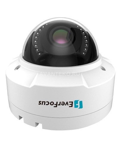 EHN-1250. Видеокамера IP купольная. EverFocus в Арзамасе