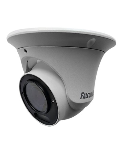 FE-IPC-DV2-40pa. Видеокамера IP купольная. Falcon EYE в Арзамасе