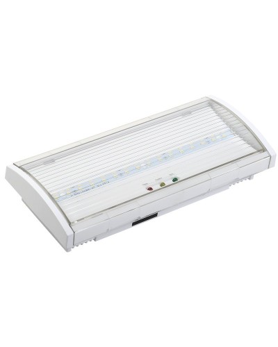 Светильник аварийный ДПА 5040-3 3ч IP54 LIGHTING (LDPA0-5040-3H-K01). Светильник аварийный постоянного действия. IEK в Арзамасе