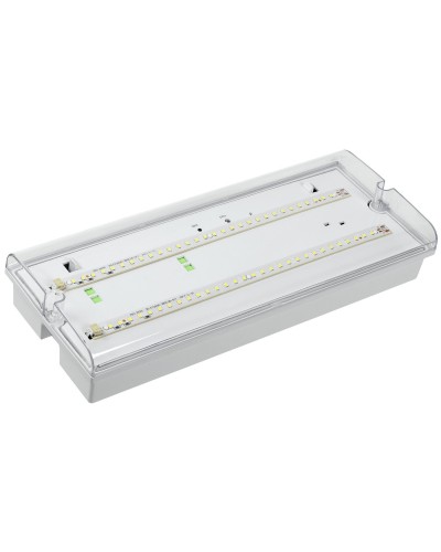 Светильник аварийный ДПА 5042-1 1ч IP65 LIGHTING (LDPA0-5042-1-65-K01). Светильник аварийный универсальный. IEK в Арзамасе