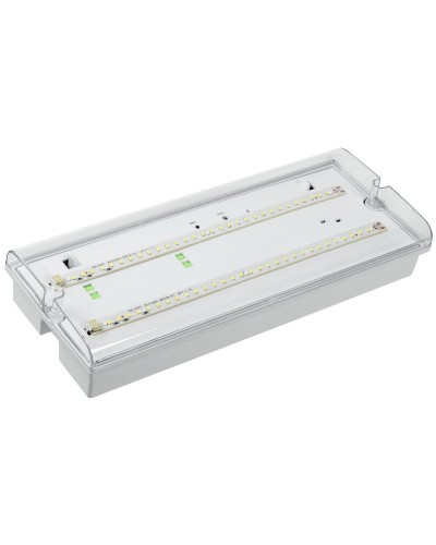 Светильник аварийный ДПА 5042-3 3ч IP65 LIGHTING (LDPA0-5042-3-65-K01). Светильник аварийный универсальный. IEK в Арзамасе