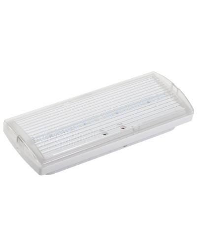 Светильник аварийный ДПА 5030-3 3ч IP20 LIGHTING (LDPA0-5030-3H-K01). Светильник аварийный постоянного действия. IEK в Арзамасе