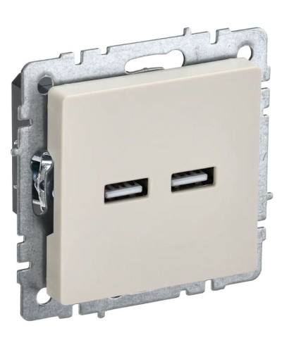 Розетка USB A+A 3,1А РЮ10-1-БрКр бежевый BRITE (BR-U21-D31-K10). Розетка USB. IEK в Арзамасе
