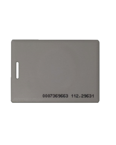 IL-05E GREY. Проксимити карта. IronLogic в Арзамасе