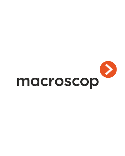 Расширение с LS до ST. Программное обеспечение (опция). MACROSCOP в Арзамасе