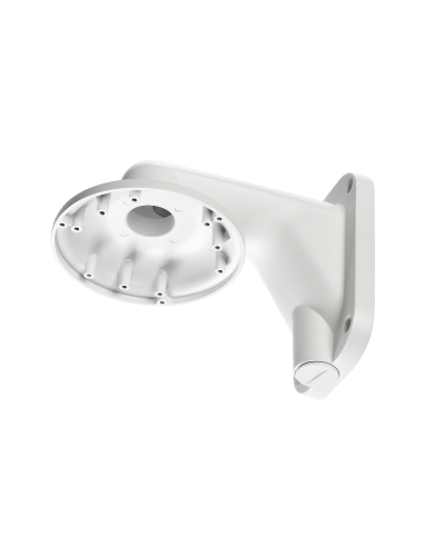 RVi-1BWM-5 white. Кронштейн настенный. RVi в Арзамасе