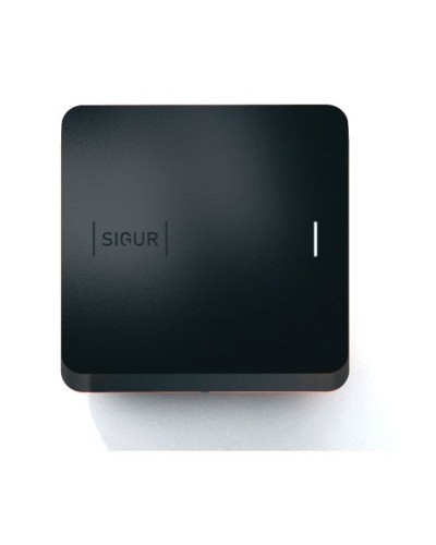 Sigur MR100 Multi. Считыватель. SIGUR в Арзамасе