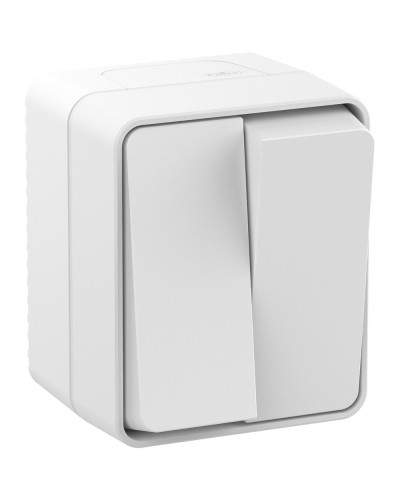 AtlasDesign PROFI54 выключатель 2-клавишный, открытой установки, белый (ATN540151). Выключатель. Systeme Electric в Арзамасе