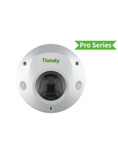 TC-C35PS I3/E/Y/M/H/2.8/V4.2. Видеокамера IP купольная. Tiandy в Арзамасе