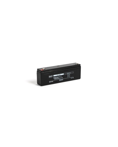 SKAT SB 12022 (2539). Аккумулятор герметичный свинцово-кислотный. Бастион в Арзамасе