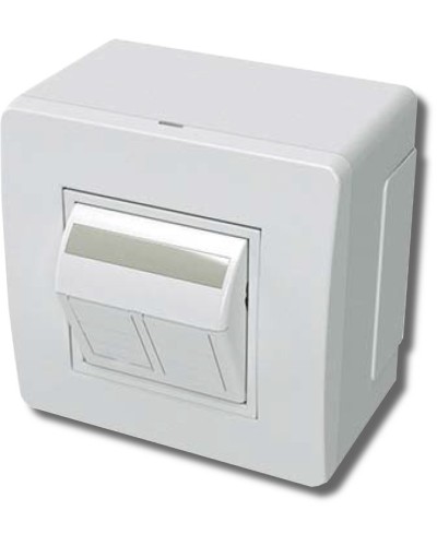 Коробка в сборе с 2 розетками RJ45, кат.5е, белая (10656): Коробка в сборе в Арзамасе