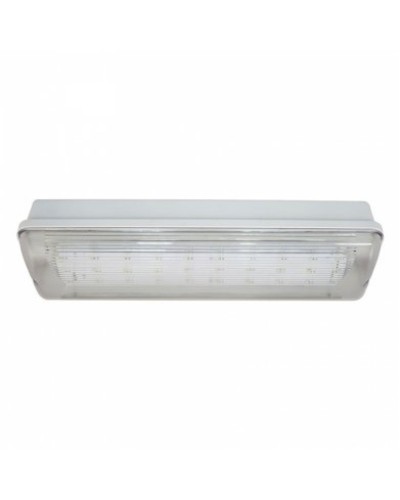 SL-223-30LED1.8 исп.1 IP54. Светильник аварийного освещения. ИП Раченков А.В. в Арзамасе