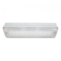 SL-223-30LED1.8 исп. 1, IP65. Светильник аварийного освещения. ИП Раченков А.В.