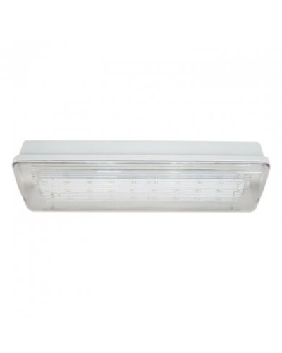 SL-223-30LED1.8 исп. 1, IP65. Светильник аварийного освещения. ИП Раченков А.В. в Арзамасе