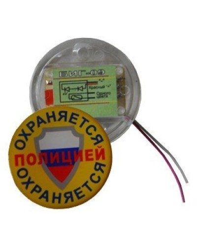БИГ-09 н.р.. Индикатор прибытия наряда. ПЭАП (Альфатех-Центр) в Арзамасе
