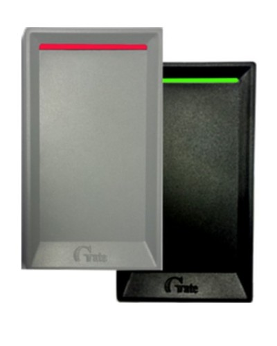 Gate-Reader-MF. Считыватель. Равелин в Арзамасе