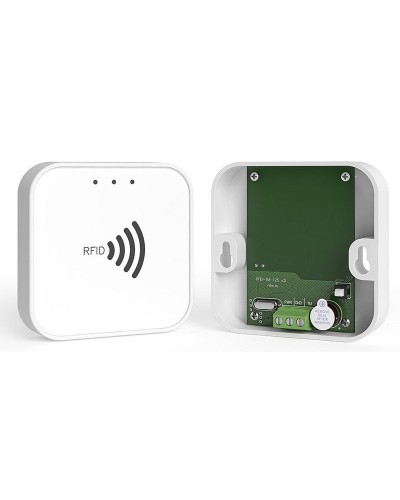RFID-TM. Считыватель RFID. Ритм в Арзамасе