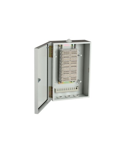 ШРН-В/100-Р (120908-00122). Шкаф ШРН-В/100-Р, плинт ПВТ-10Р-5е. ССД (Связьстройдеталь) в Арзамасе